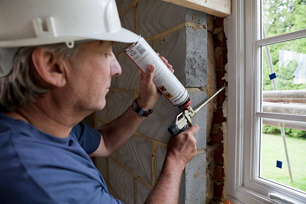 Best Cellulose Insulation  in Hybla Lley, VA
