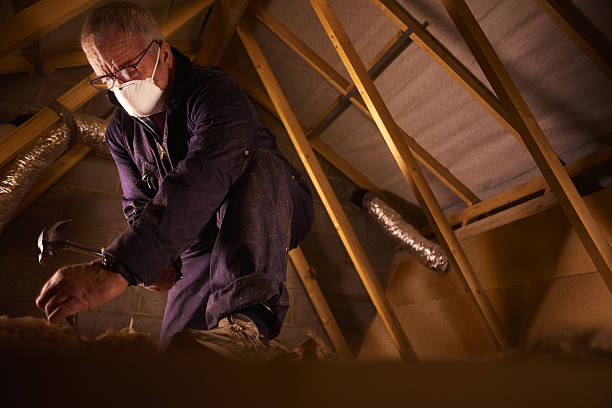 Best Blown-in Insulation  in Hybla Lley, VA
